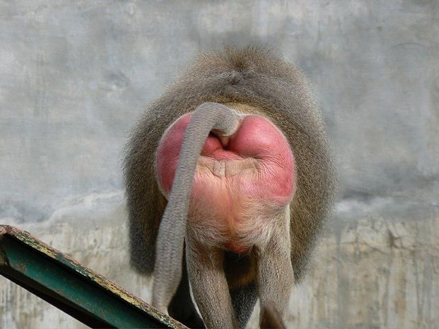 rylanspark OnlyFans profile picture