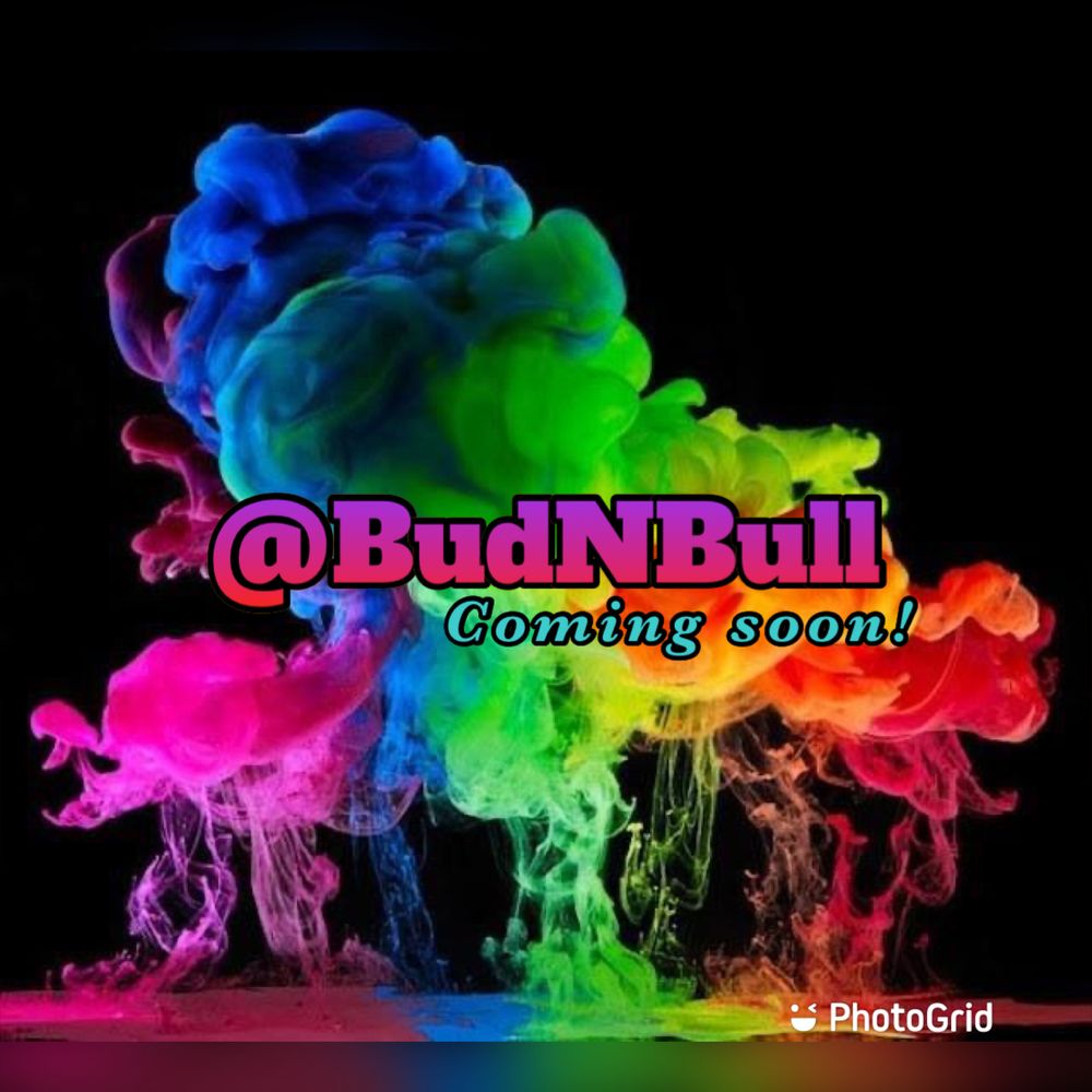 budnbullshit OnlyFans profile picture