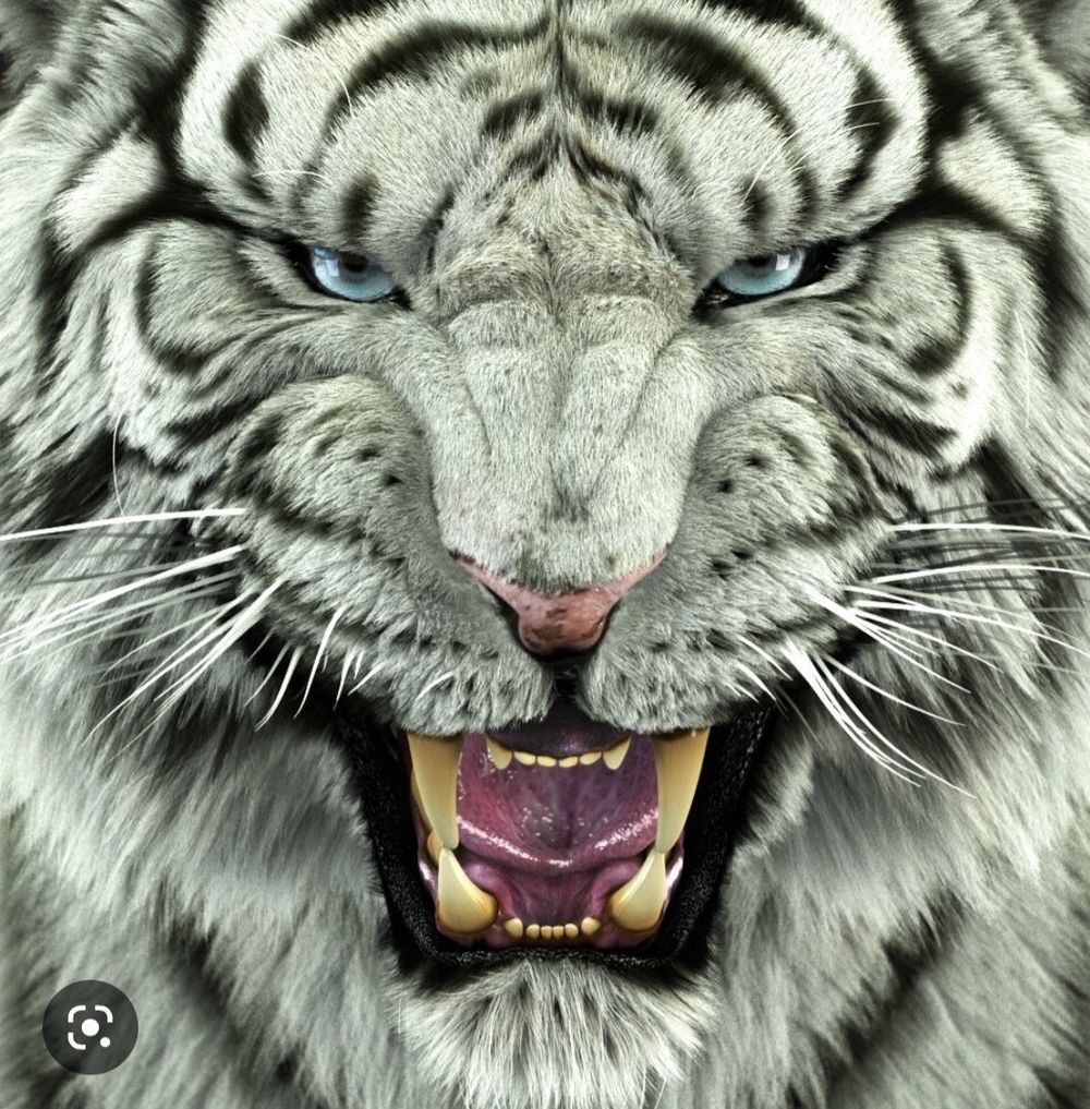 hautekitty OnlyFans profile picture