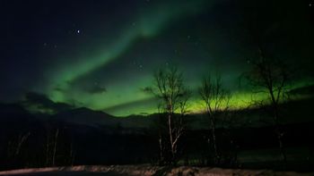 Northman