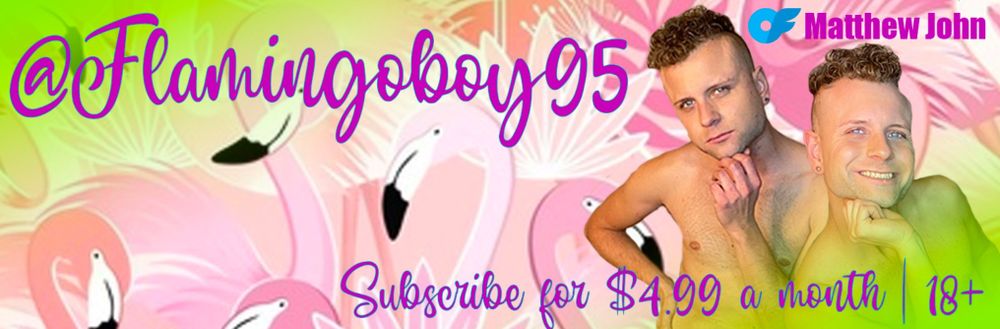 flamingoboy95 OnlyFans profile picture
