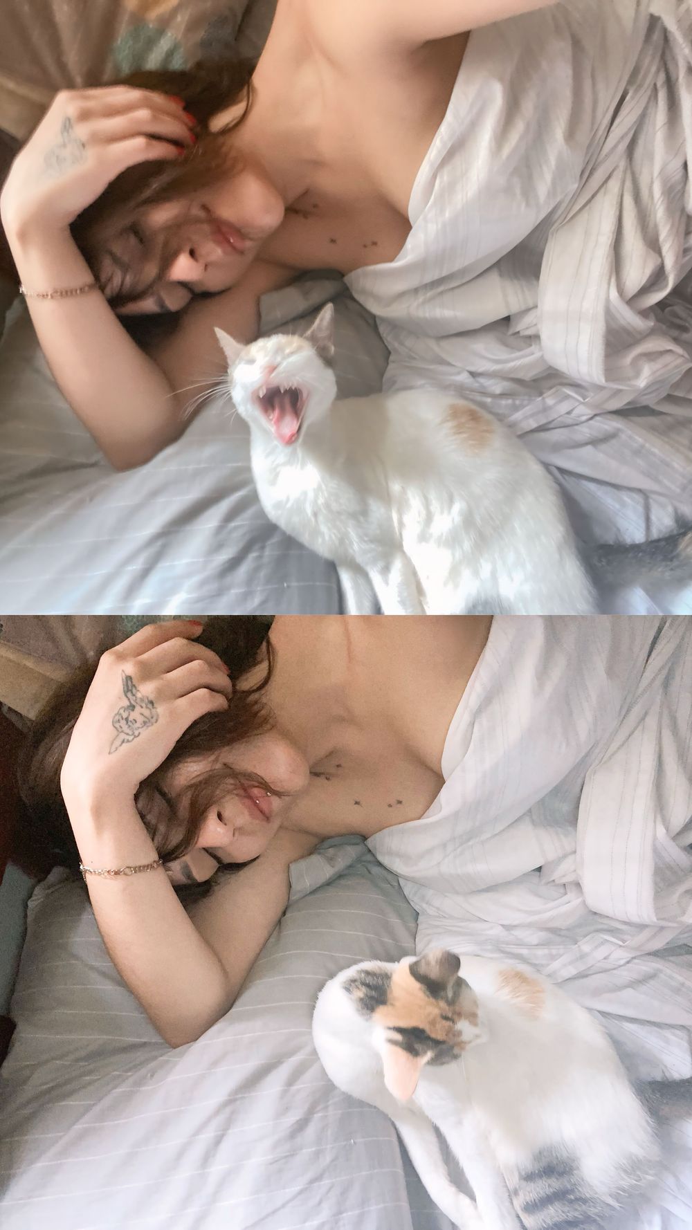 debranux OnlyFans profile picture