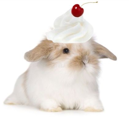 missdollybun OnlyFans picture