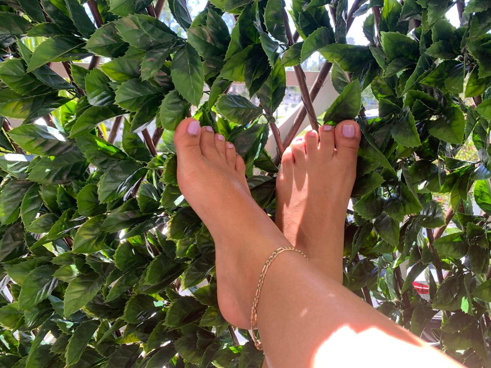 toesandkitty OnlyFans profile picture