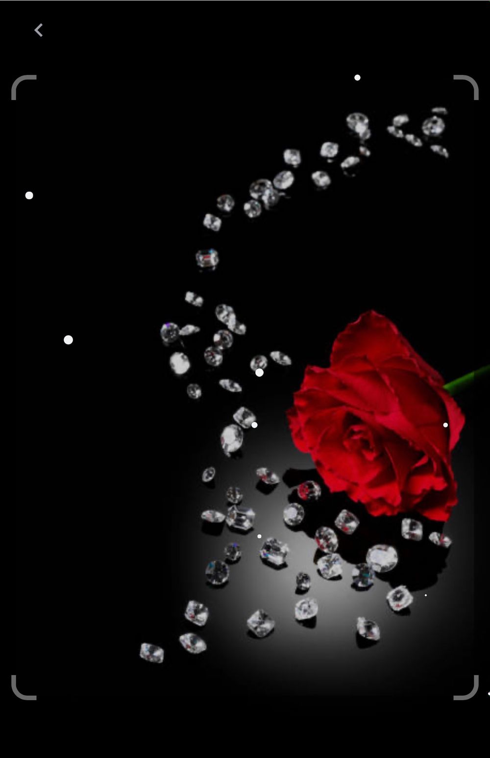 rosegabriella OnlyFans profile picture