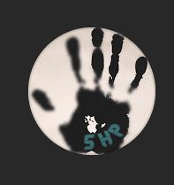 steadihand OnlyFans picture