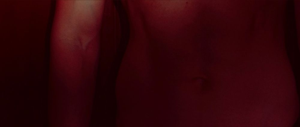 brenuuuuuuuuu OnlyFans profile picture
