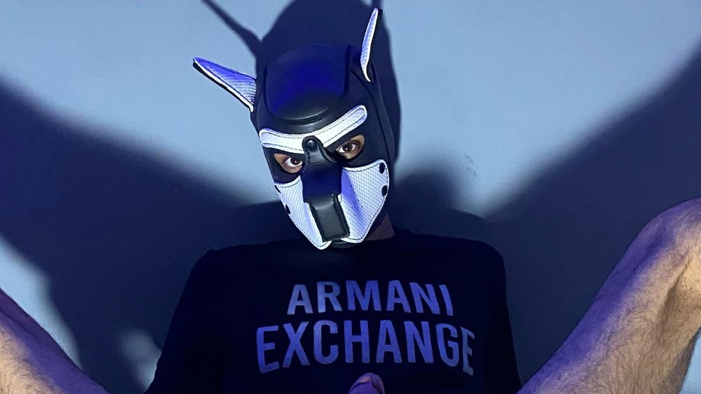 wildwolf.arg OnlyFans profile picture