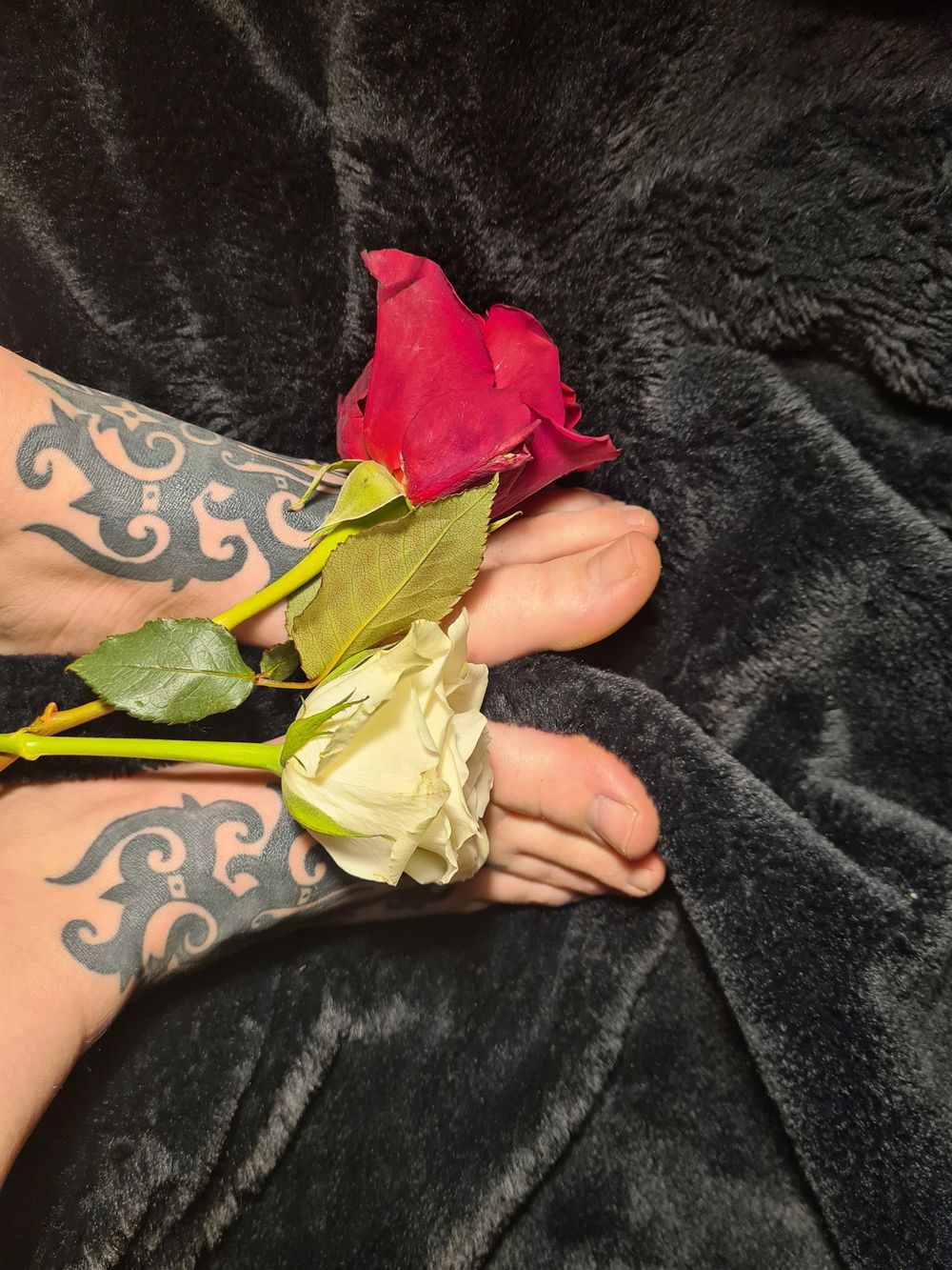 velvet_cinnamon OnlyFans profile picture