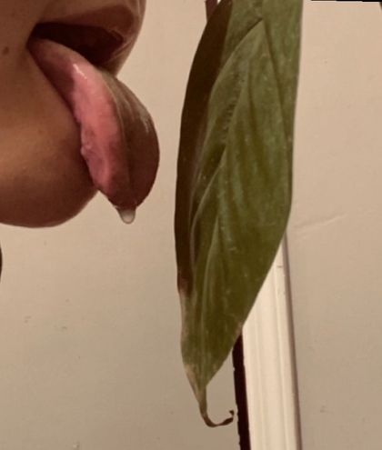 freaksunleafed OnlyFans picture