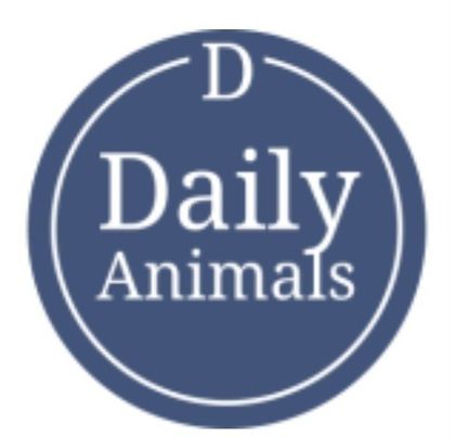 dailyanimalfeed OnlyFans picture