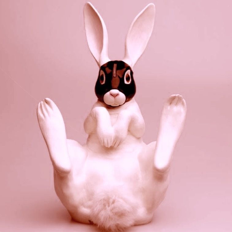 littlebunnybunny OnlyFans profile picture