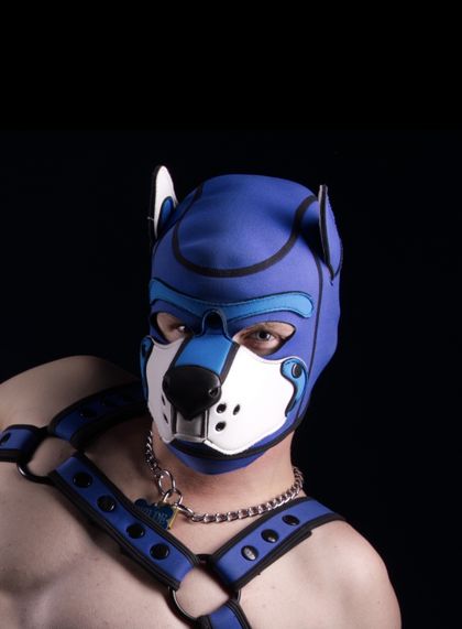 pupwilde OnlyFans picture