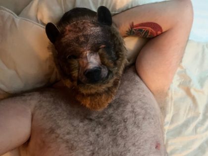 maskedbearof OnlyFans picture