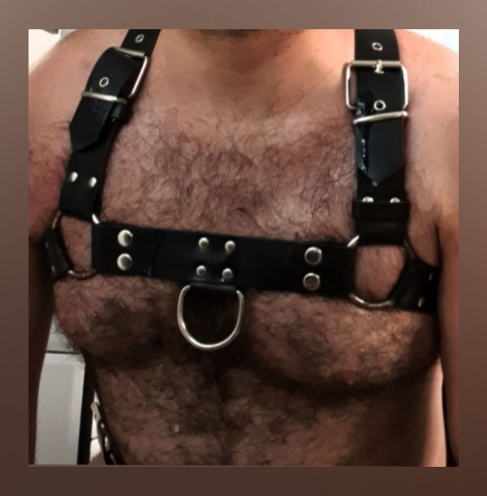 pigbear38 OnlyFans profile picture