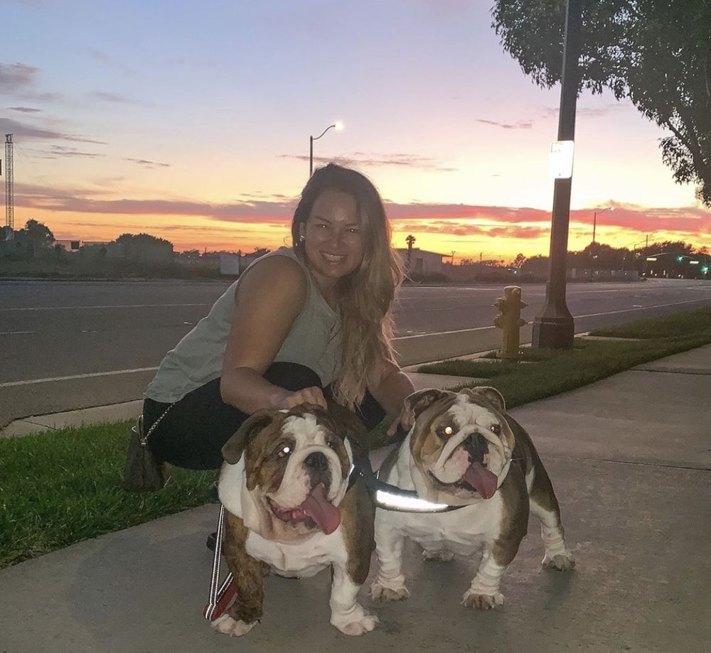 bulldogmom OnlyFans profile picture