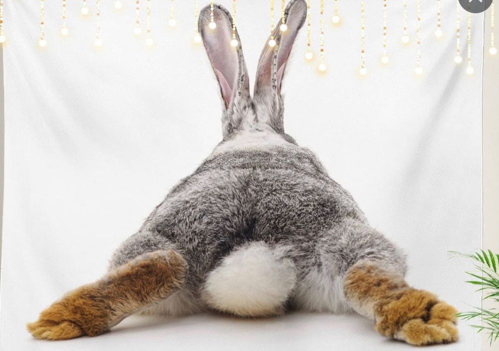 brandibunny21 OnlyFans profile picture