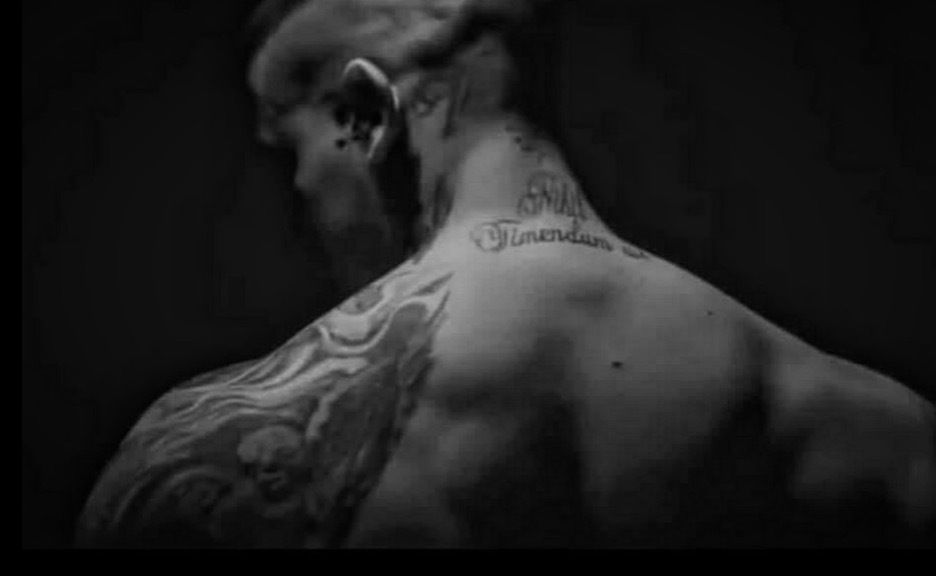 u146737692 OnlyFans profile picture