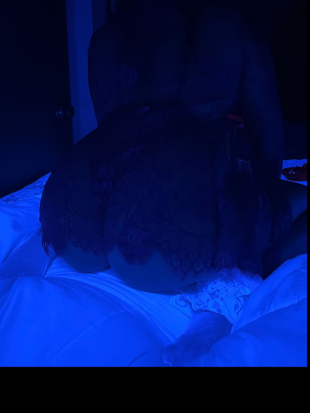 curvyxebony OnlyFans profile picture