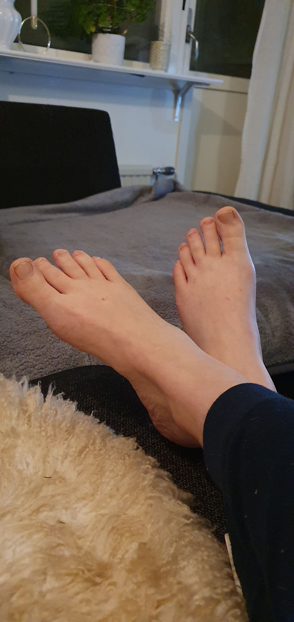 pixiefeet1981 OnlyFans profile picture