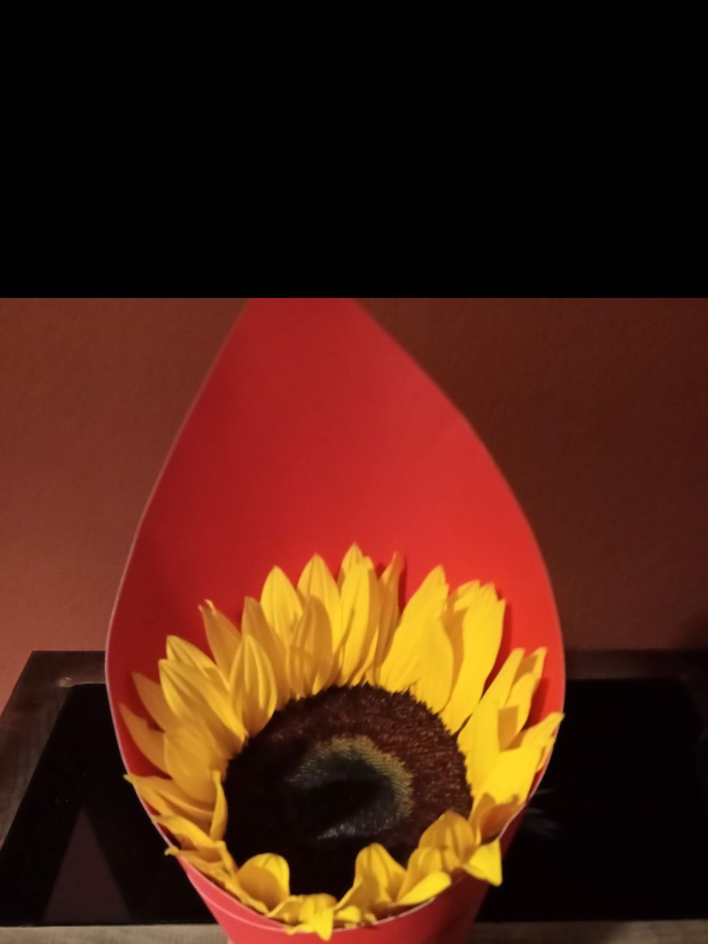 cinthyadoce OnlyFans profile picture