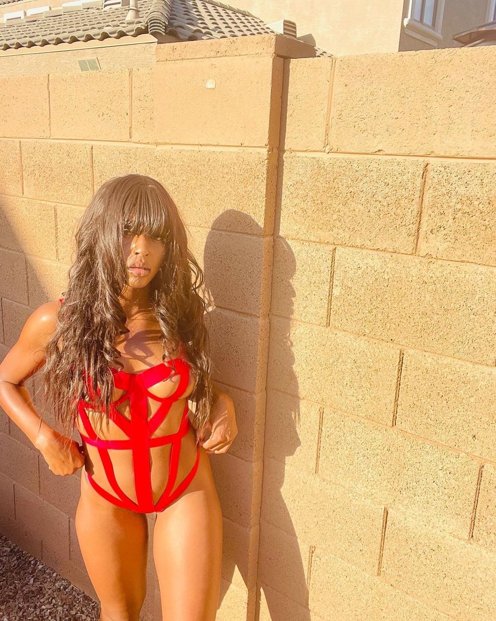 reneevervain11 OnlyFans profile picture