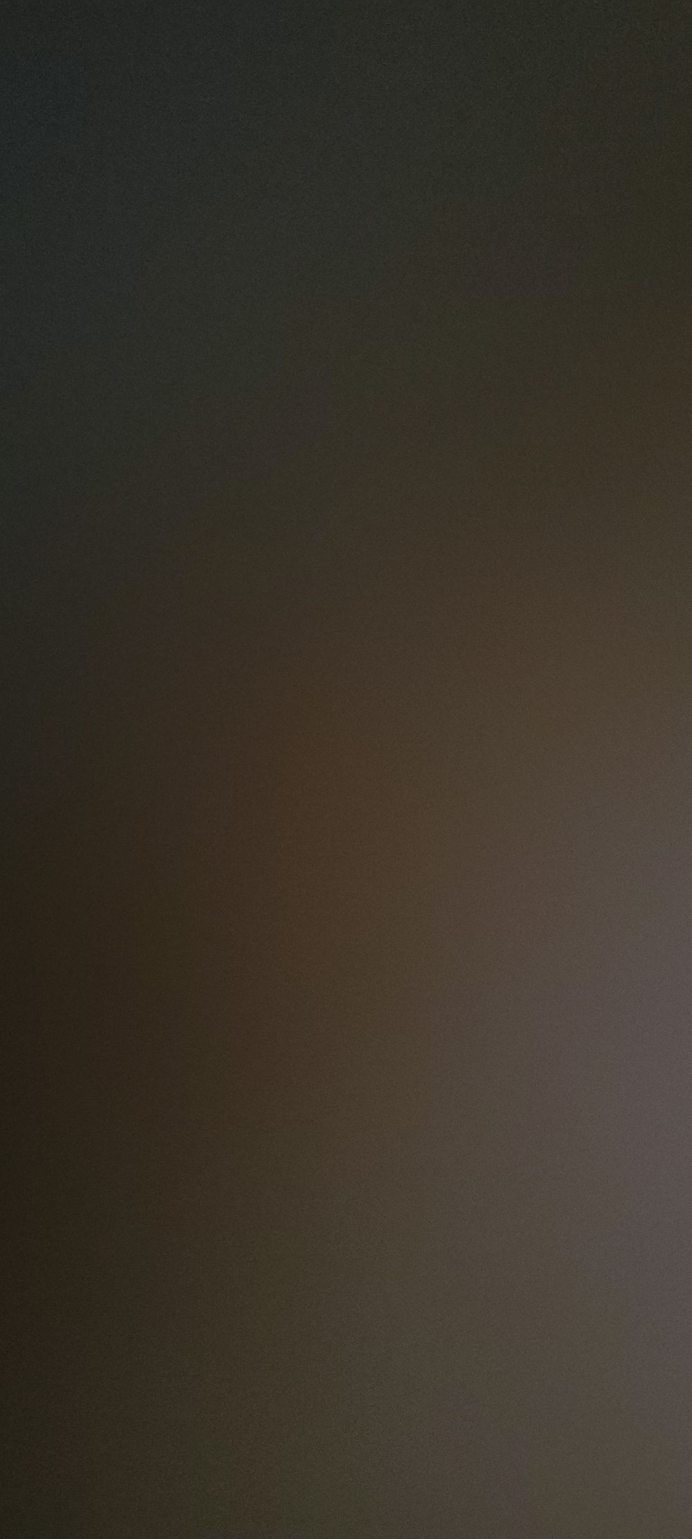 u183658385 OnlyFans profile picture