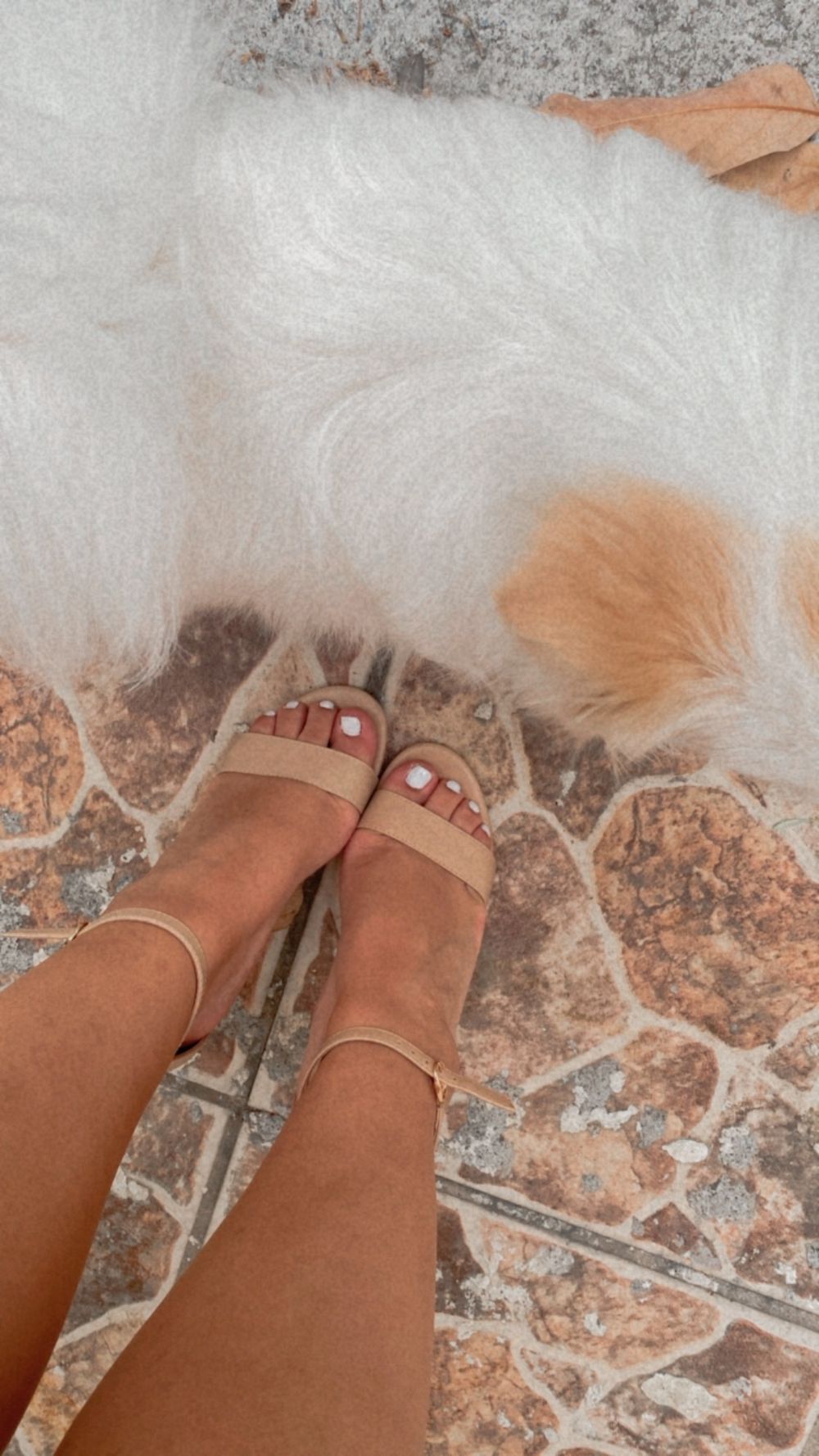 gigisfeetadventures OnlyFans profile picture