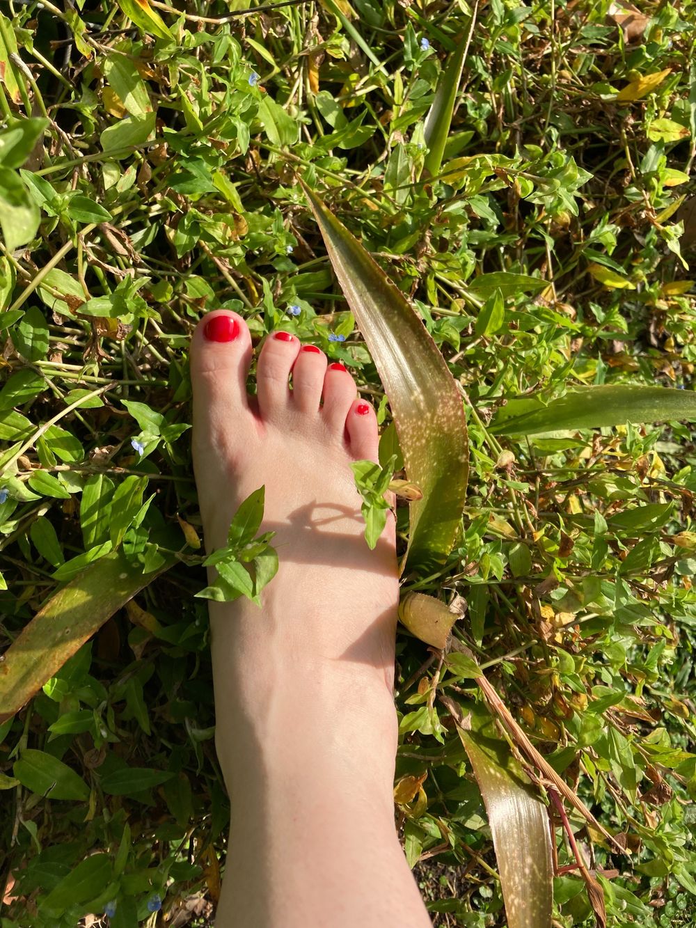gucciflipflop86 OnlyFans profile picture