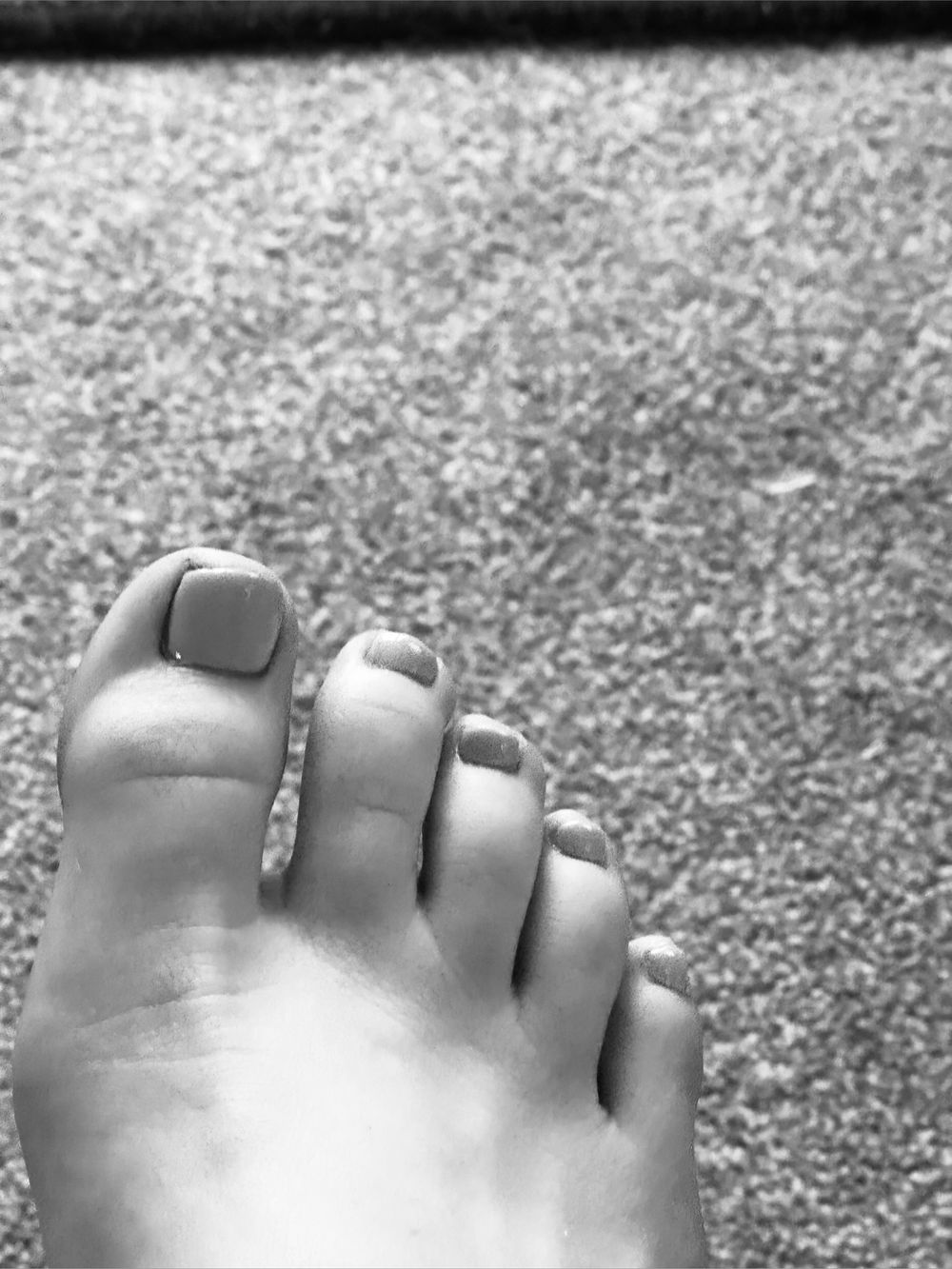 abbietootsies OnlyFans profile picture