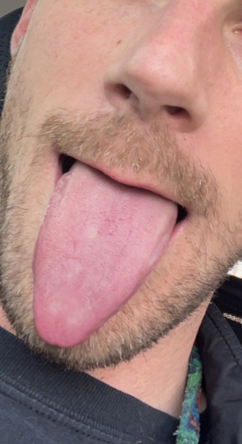 fritzvoste OnlyFans profile picture
