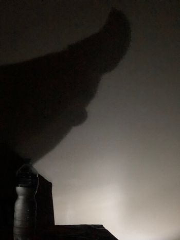Sexy in the shadow