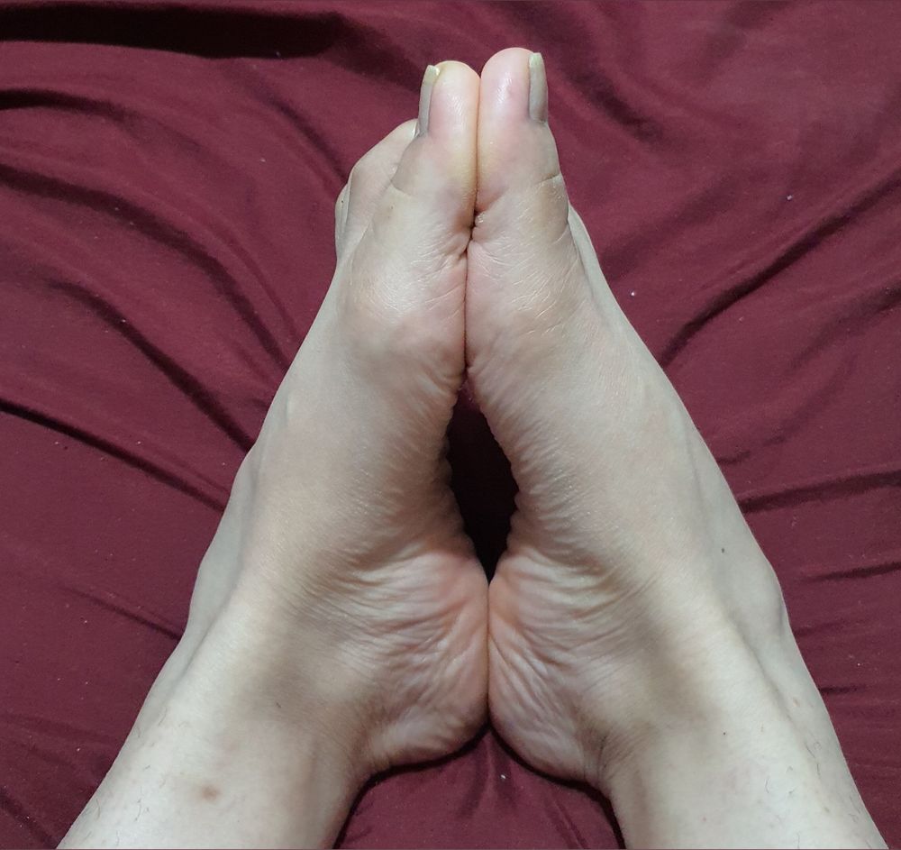 ventadepies05 OnlyFans profile picture