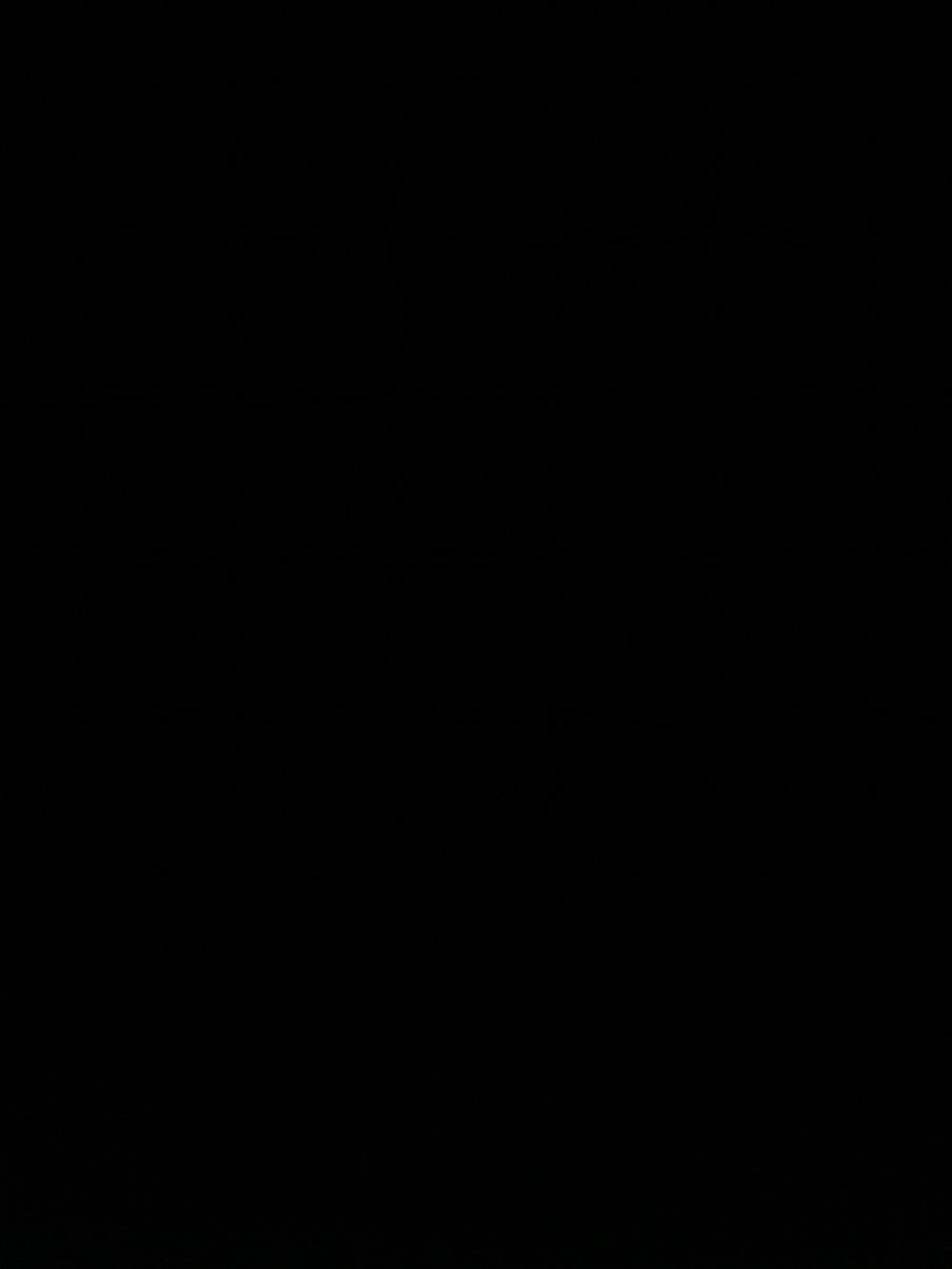 alzhxjawnnw OnlyFans profile picture