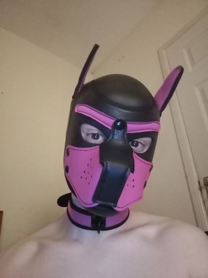 lonelypupee OnlyFans picture