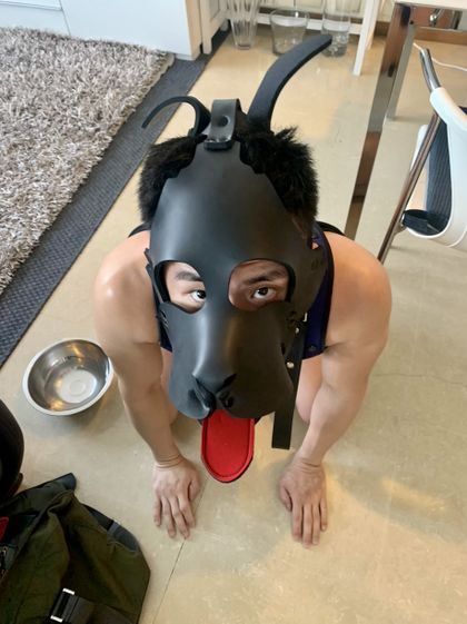 pupboymax OnlyFans picture