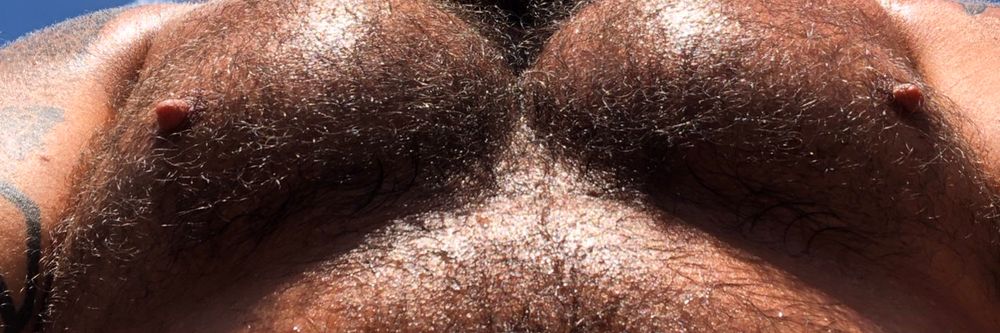 oaklanddadbear OnlyFans profile picture