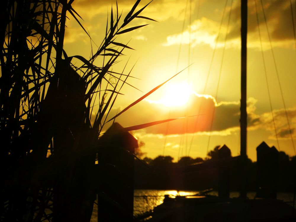 Autumn Rayne @autumnrayne OnlyFans Profile. Review, Photos, Statistics | FansMetrics.com