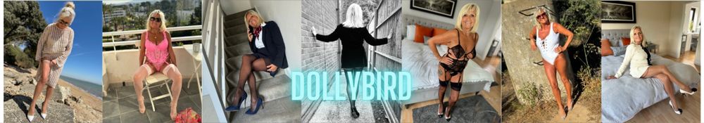dollybird OnlyFans profile picture