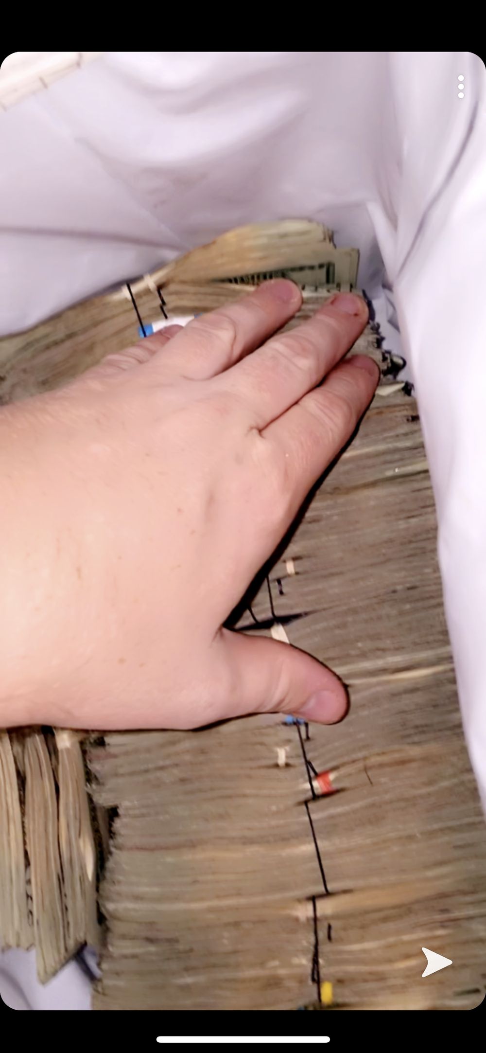 u81994172 OnlyFans profile picture