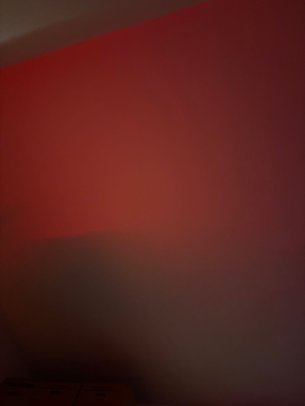 ninseee OnlyFans profile picture