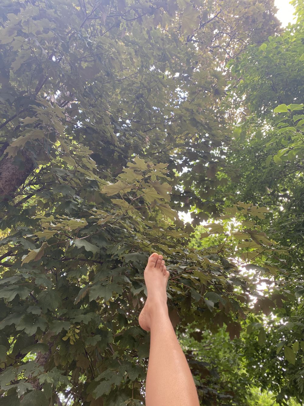 tulunatica OnlyFans profile picture
