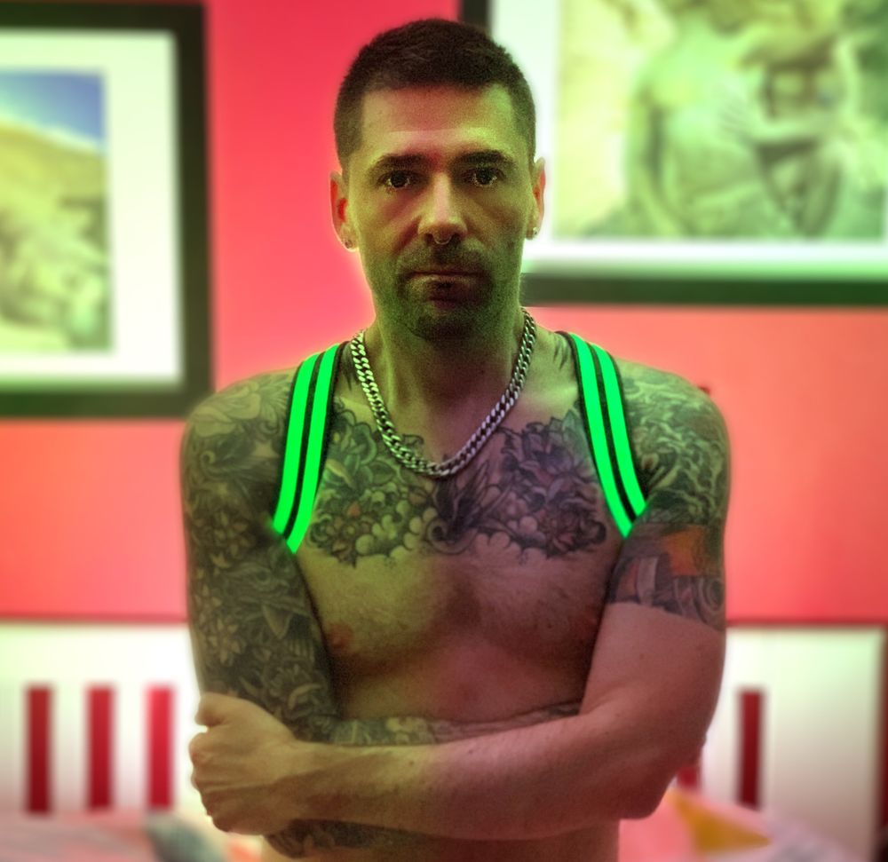 tomofamsterdam OnlyFans profile picture