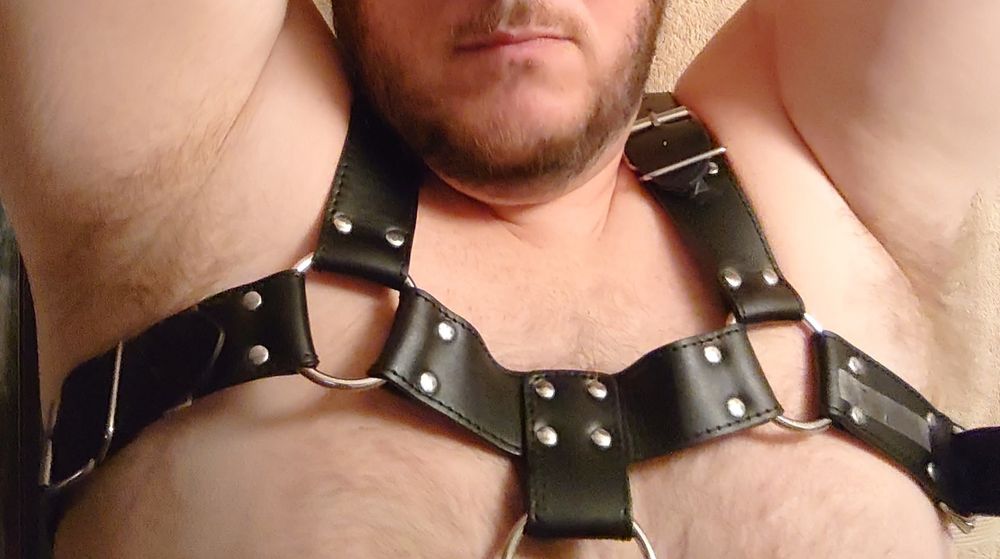 faciallover0217 OnlyFans profile picture
