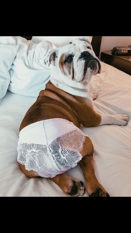 doitonthe_vic OnlyFans picture