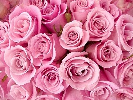 rosey.roses OnlyFans profile picture