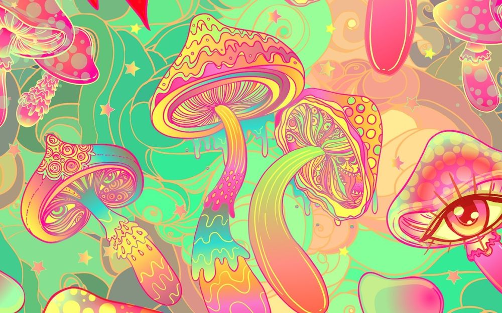 trippykitten420 OnlyFans profile picture