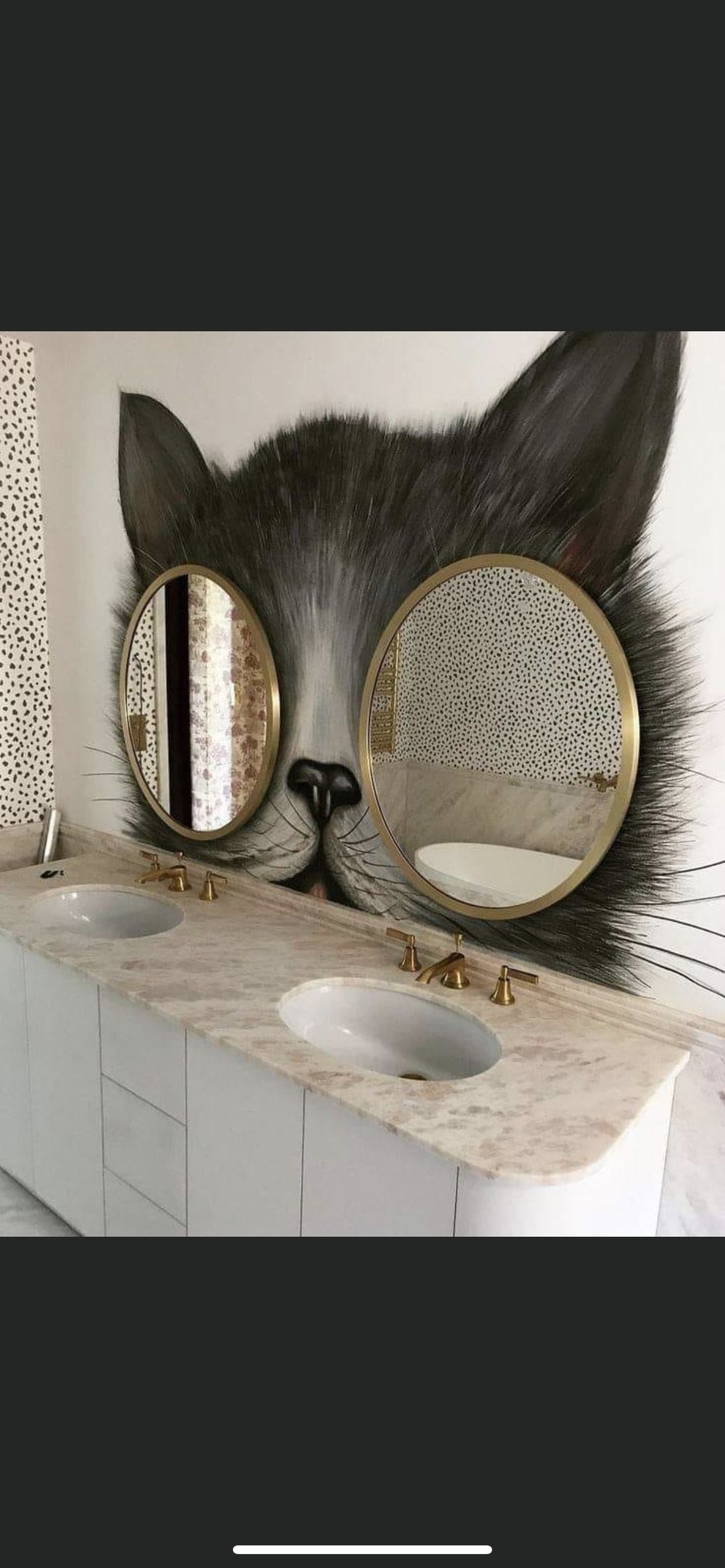 kitcat40 OnlyFans profile picture