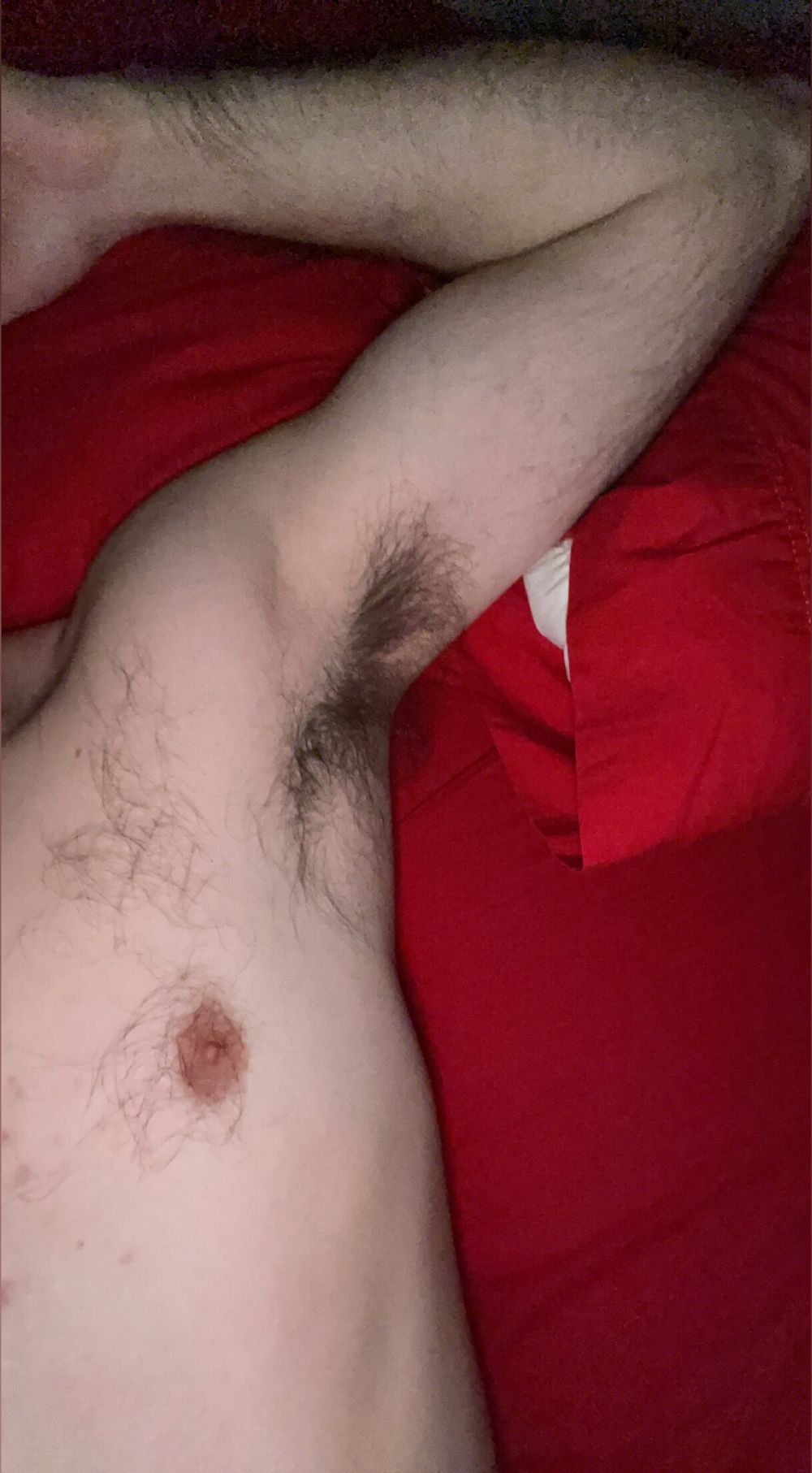 otter-prince OnlyFans profile picture
