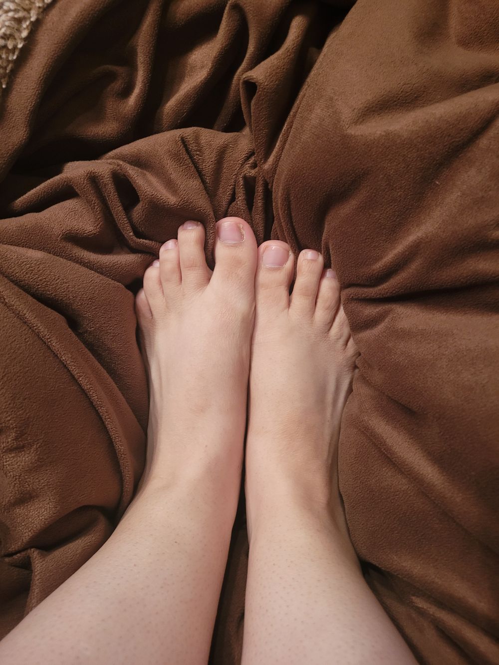 evie.toes OnlyFans profile picture